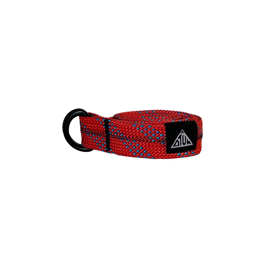 CARDINAL BELT