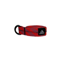 CARDINAL BELT