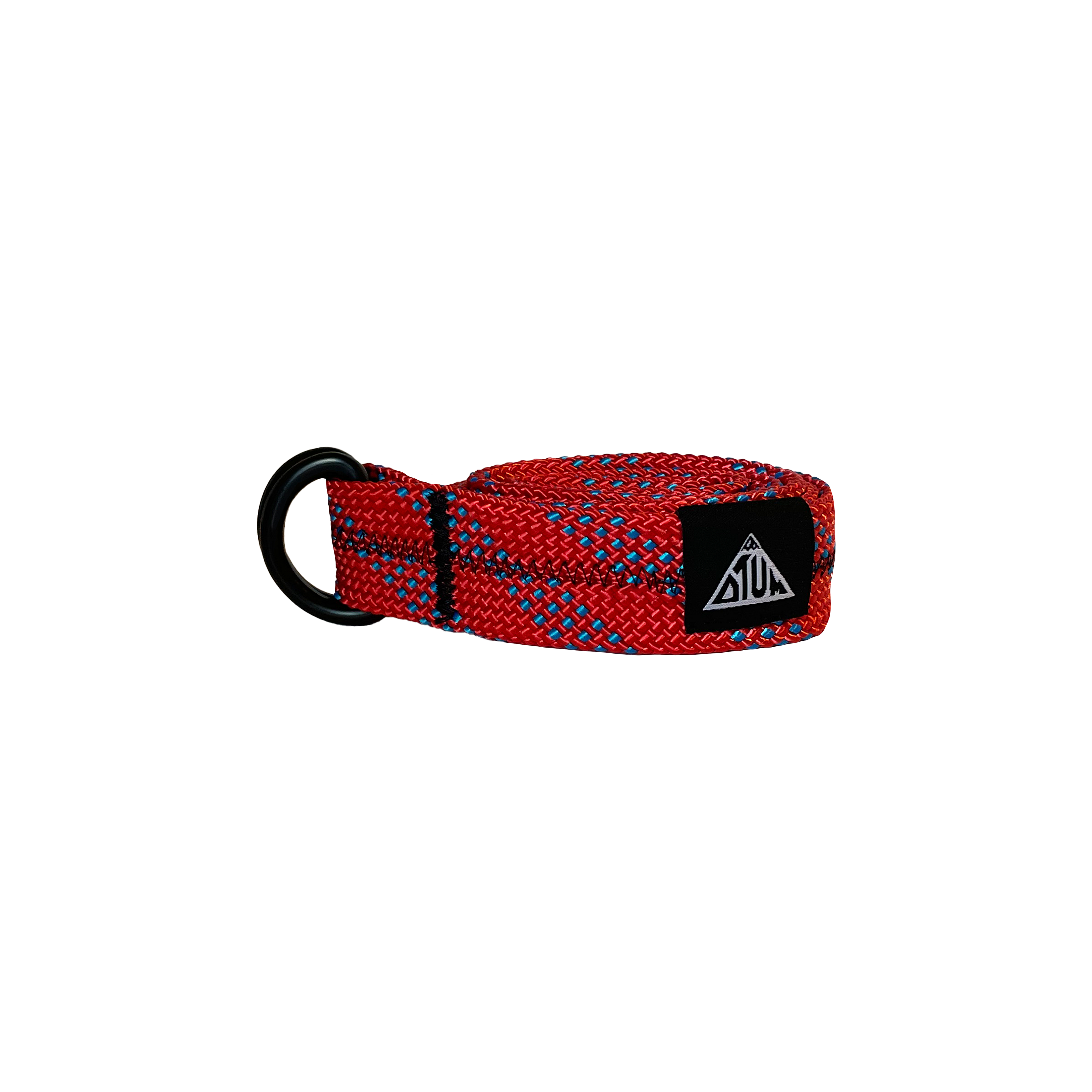 CARDINAL BELT