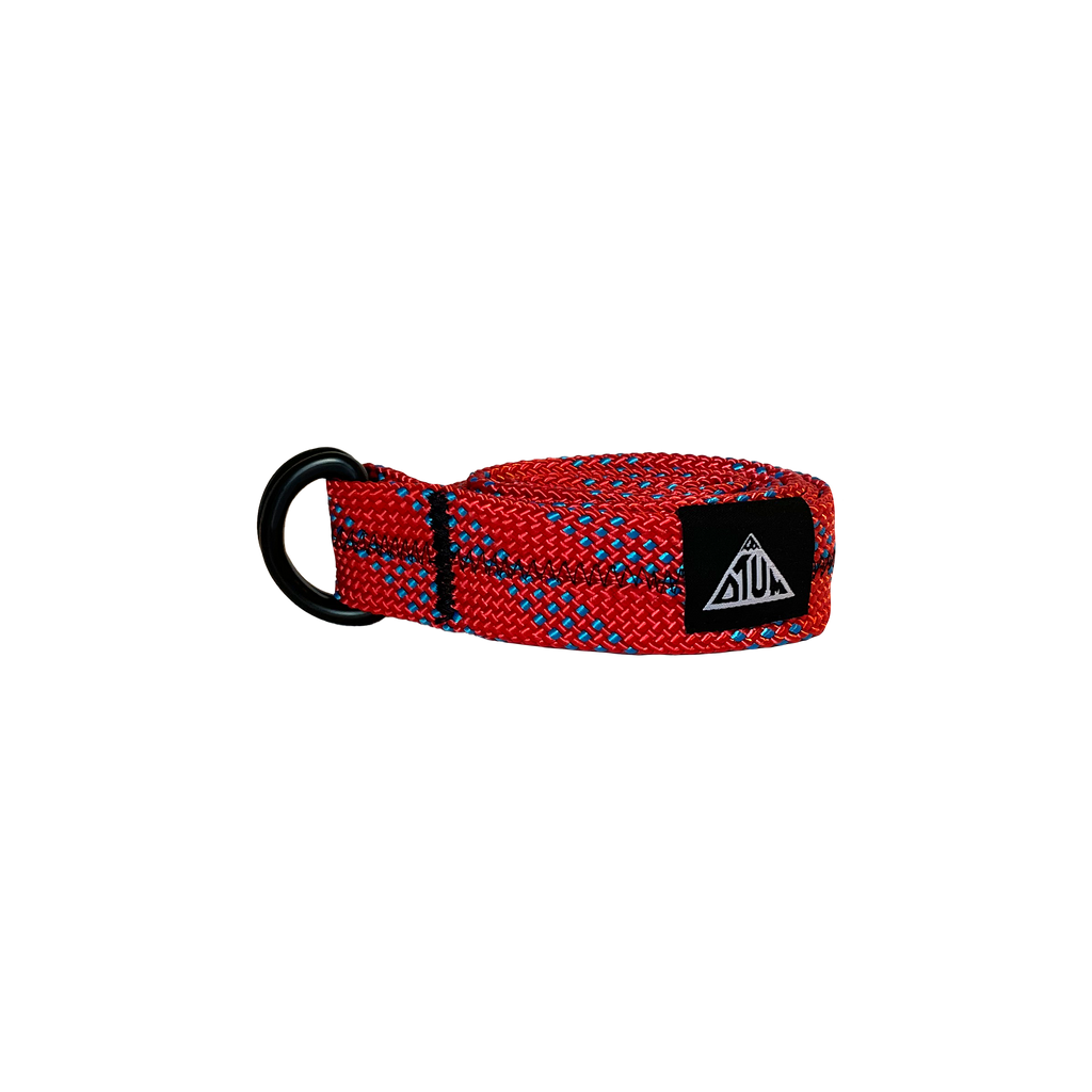 CARDINAL BELT